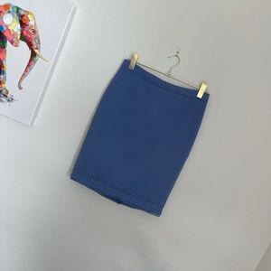 Ann Taylor Purple Pencil Skirt Petite 2 NOWT